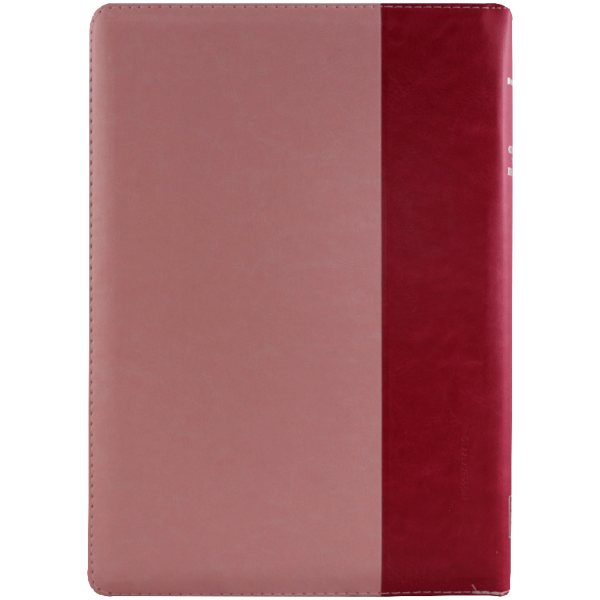 Biblia RVR1960 letra super gigante rosa fucsia cierre 19pt RVR086cLSGiPJRZTI - Image 3