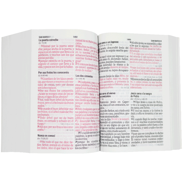 Biblia RVR1960 Piedra chica letra supergigante 11pt RVR040cLSGiPJR - Image 4