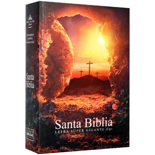 Biblia RVR1960 Piedra chica letra supergigante 11pt RVR040cLSGiPJR