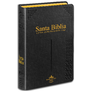 Biblia RVR1960 Lt Gigante Negro mediana 14pt RVR062CLSGIPJRTI