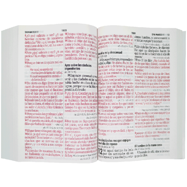 Biblia RVR1960 Piedra letra supergigante 19pt RVR080cLSGiPJR - Image 3