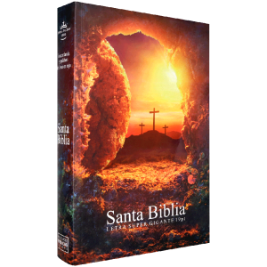 Biblia RVR1960 Piedra letra supergigante 19pt RVR080cLSGiPJR