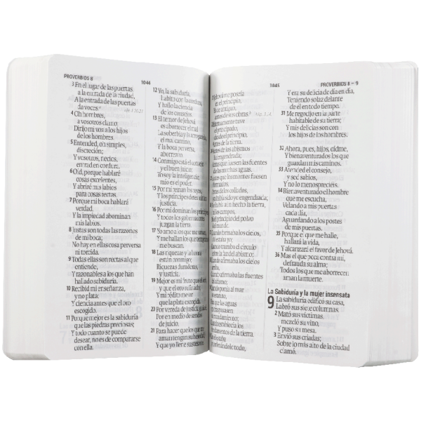 Biblia RVR1960 mediana rústica 14pt RVR060cLSGiPJR - Image 2