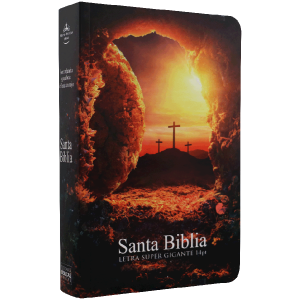 Biblia RVR1960 mediana rústica 14pt RVR060cLSGiPJR