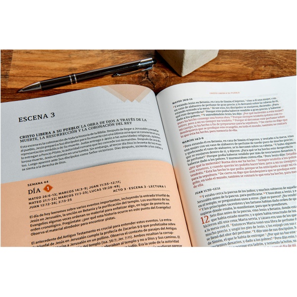 Rvr 1960 Biblia Cronológica, Día Por Día, Marrón Símil Piel - Image 2