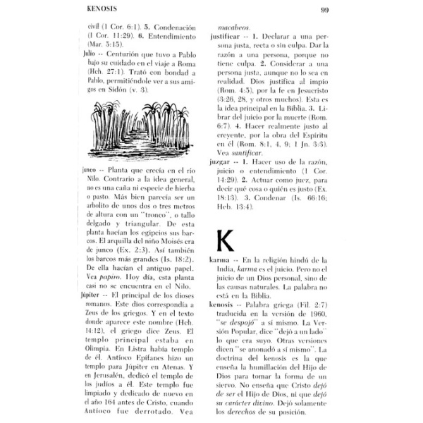 Diccionario Bíblico Elemental - Image 5
