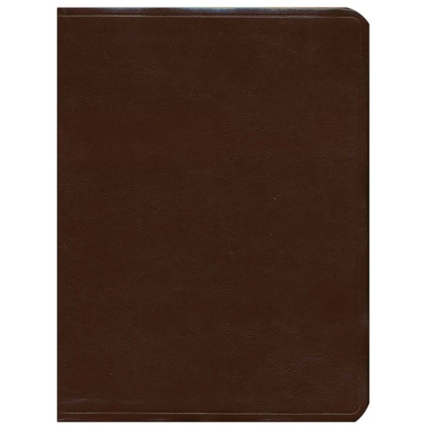 Biblia De Estudio Mundo Hispano (tapa Piel Europea)
