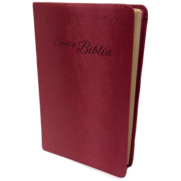 Biblia RVA2015 rojiza piel europea - Image 3