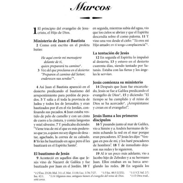 Rva 2015 Biblia Letra Grande Imitación Piel Dos Tonos Café - Image 6