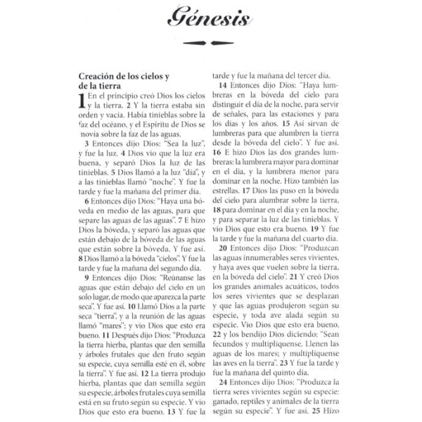 Biblia Letra Grande Rva2015, Imitación Piel, Color Vino - Image 3