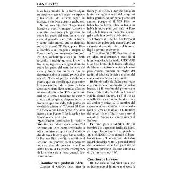 Biblia Letra Grande Rva2015, Imitación Piel, Color Vino - Image 4