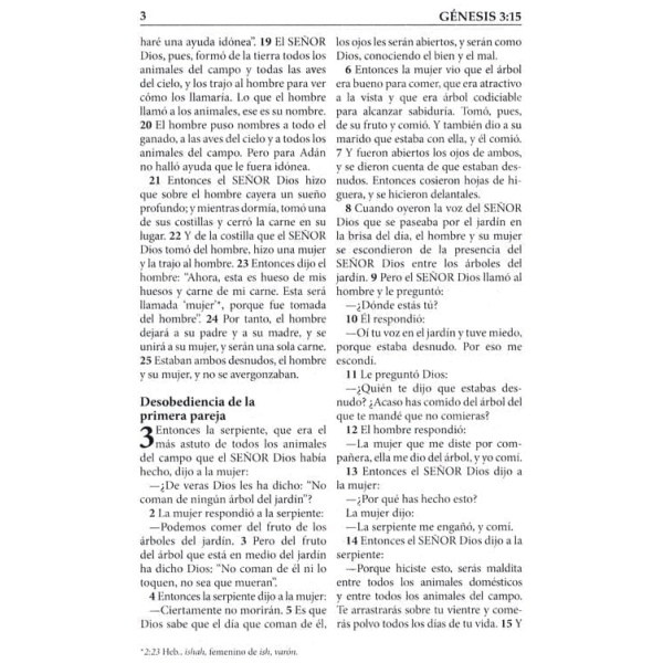 Biblia Letra Grande Rva2015, Imitación Piel, Color Vino - Image 5