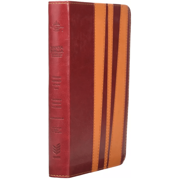 Biblia De Promesas , 2 Tonos, Juvenil, Hombres, Rvr1960