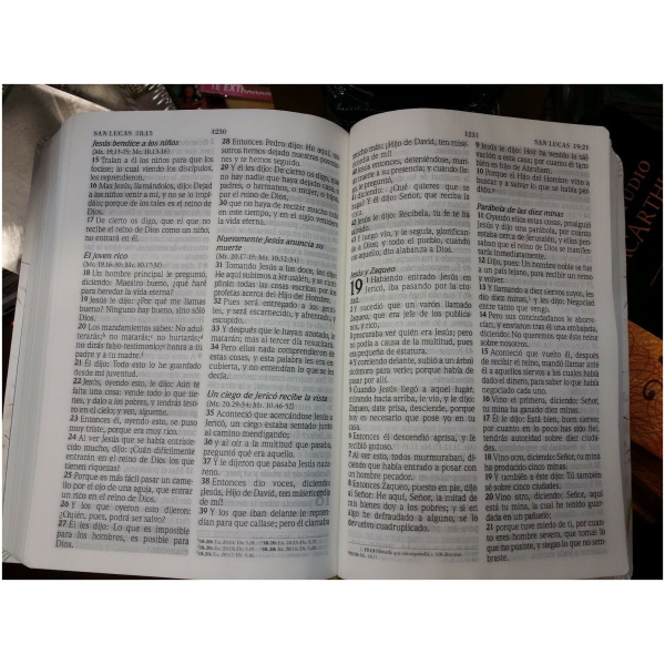 Biblia Promesas P/mujeres, Reina Valera 1960, Blanco Floral - Image 4