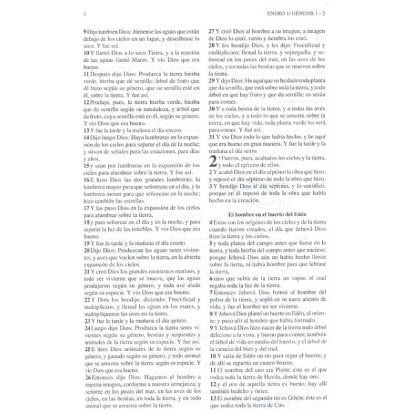 Biblia Tu Andar Diario, Reina Valera 1960, Camino, Tapa Dura - Image 3