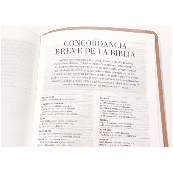Biblia De Promesas Inspira, Con Indice, Piel Especial Rosa - Image 2