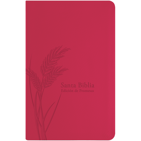 Biblia de Promesas RVR1960 Tamaño Manual Fucsia 12pt