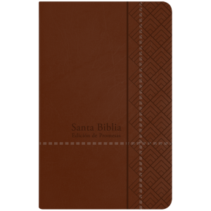Biblia RVR1960 Promesas café manual 12 pt PJR