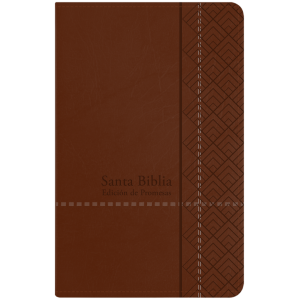 Biblia RVR1960 de Promesas Manual Café Cierre 12pt