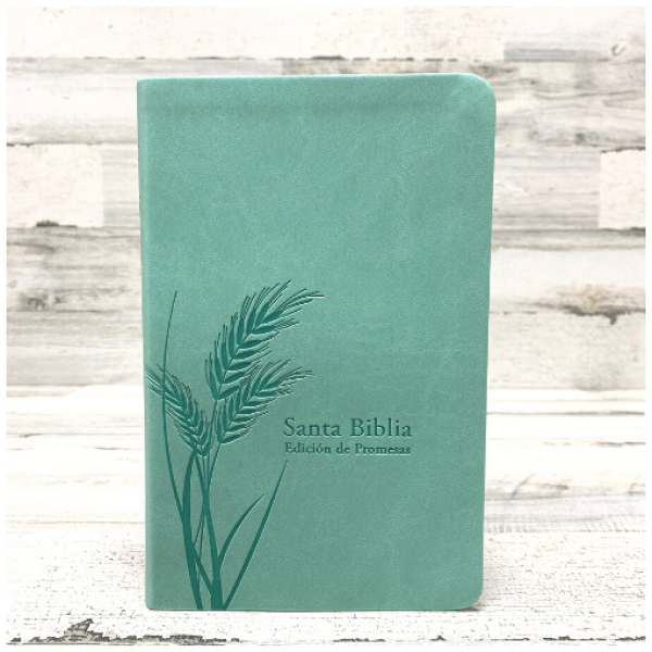 Biblia de Promesas RVR 1960 Letra Grande Menta manual 12pt