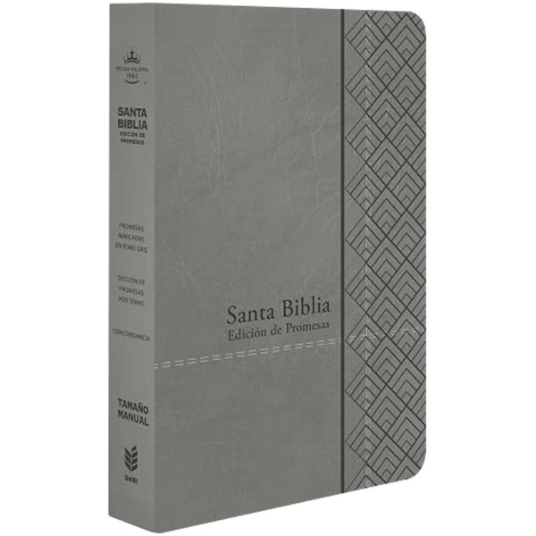 Biblia RVR1960 de Promesas Manual Letra Grande Gris 12pt