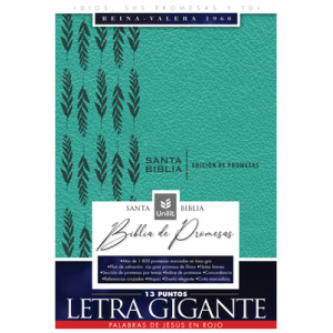 Biblia RVR1960 de Promesas Lt Gigante imit Piel Turquesa Cierre