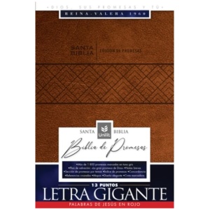 Biblia RVR1960 de Promesas Lt Gigante Café im piel