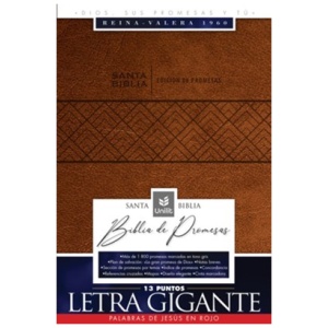 Biblia RVR1960 de Promesas Lt Gigante Café im piel