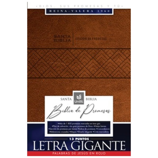 Biblia RVR1960 de Promesas Lt Gigante Café im piel