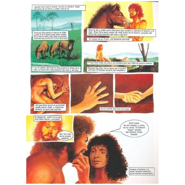 La Biblia Gráfica - Image 5
