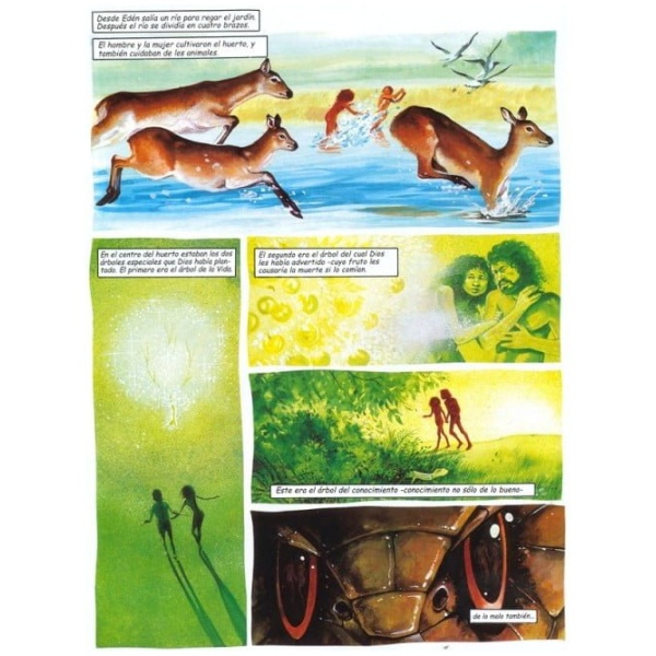 La Biblia Gráfica - Image 6