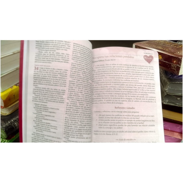 Biblia Devocional: Los Lenguajes Del Amor Ntv Rosa - Image 3