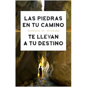 Las piedras en tu camino te llevan a tu destino