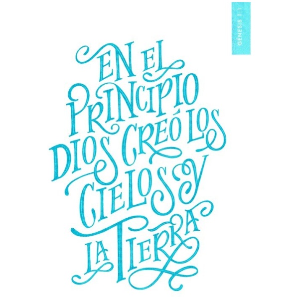 Biblia NBLA Devocional Mujer Verdadera Letra Grande Duotono Aqua - Image 4