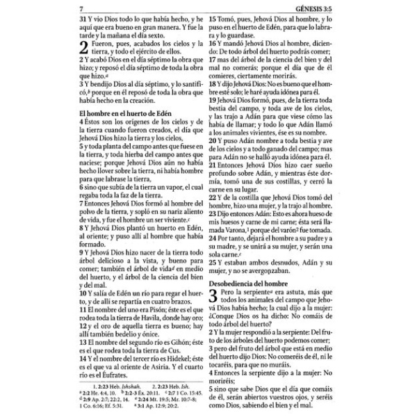 Biblia De Estudio Serie 50 Rvr 1960 Rosa Simil Piel - Image 3