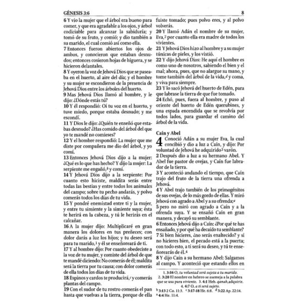 Biblia De Estudio Serie 50 Rvr 1960 Rosa Simil Piel - Image 4