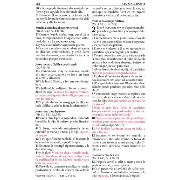 Biblia De Estudio Serie 50 Rvr 1960 Rosa Simil Piel - Image 6