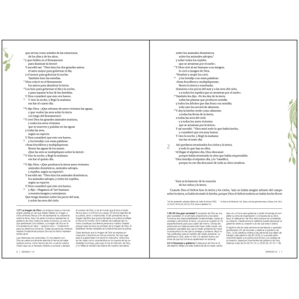 Biblia NVI Justicia De Dios Rústica - Image 3