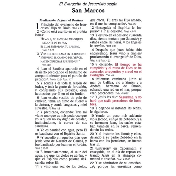 La Biblia De Las Américas Letra Grande Tamaño Manual - Image 6