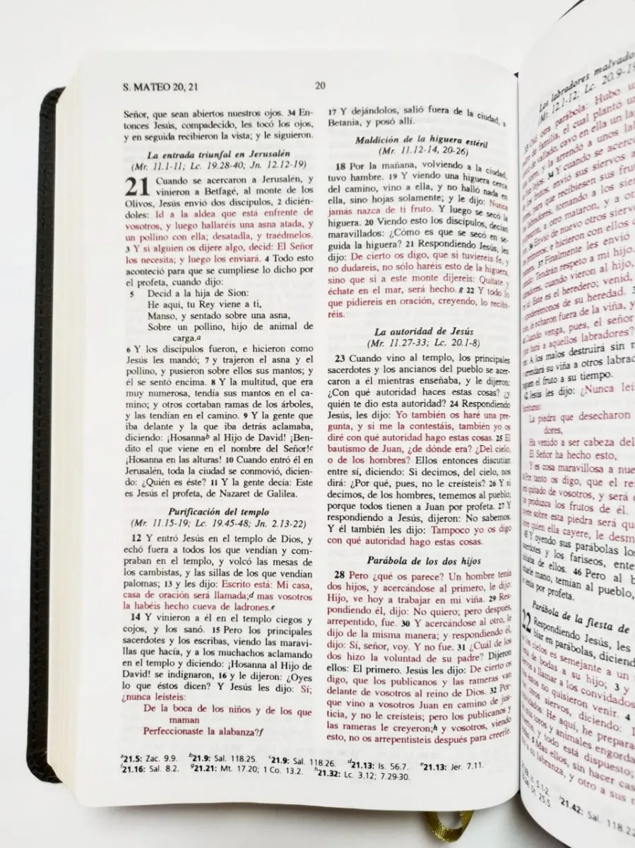 Biblia del ministro RVR 1960 - Image 5