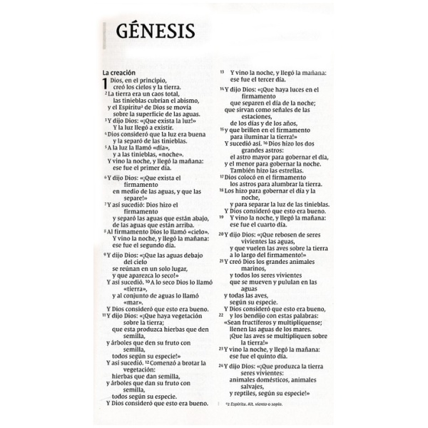 Santa Biblia NVI - Letra Grande - Económica - Image 2