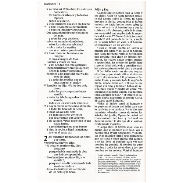 Santa Biblia NVI - Letra Grande - Económica - Image 3