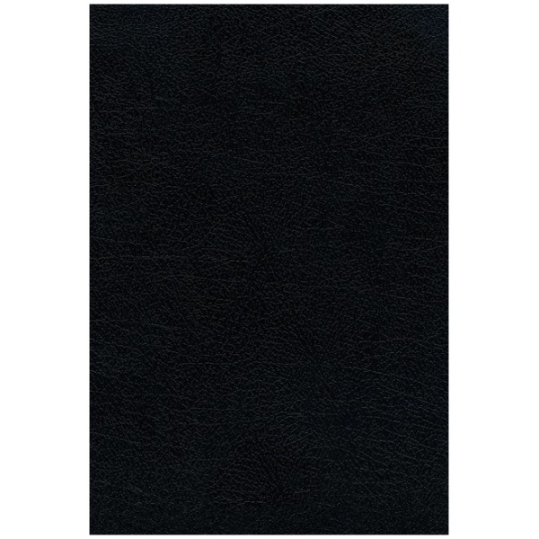 Biblia RV1960 Ultrafina Letra Grande Negro dos colores