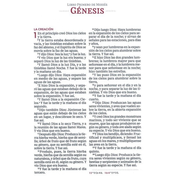 Biblia RV1960 Ultrafina Letra Grande Leathersoft Café dos colores - Image 2