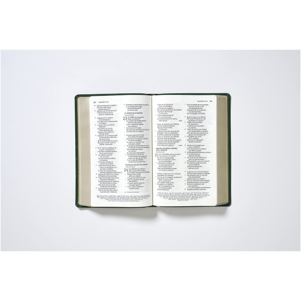 Biblia NBLA Letra Grande Flexcover Historia de Redención - Image 4