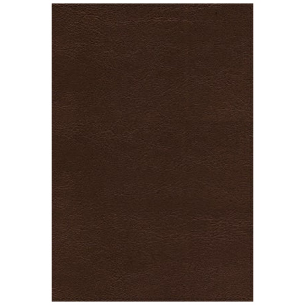 Biblia RVR De Referencia Thompson Café, ampliada y actualizada - Image 3