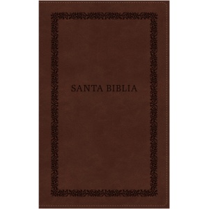 Biblia RVR1960 Tierra Santa Ultrafina Letra Grande Leathersoft Café Con Cierre