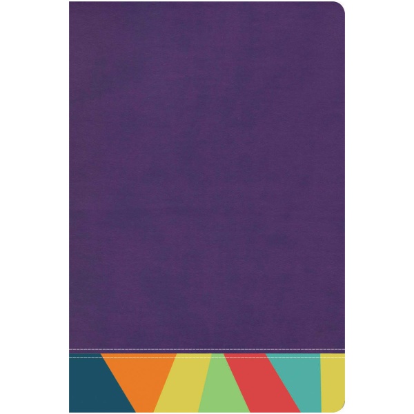 Biblia de Estudio Arcoiris Morado Multicolor RV1960