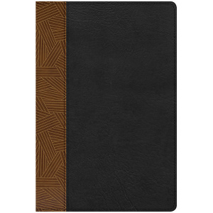 Biblia RVR1960 De Estudio Arcoiris Tostado Negro 10pt