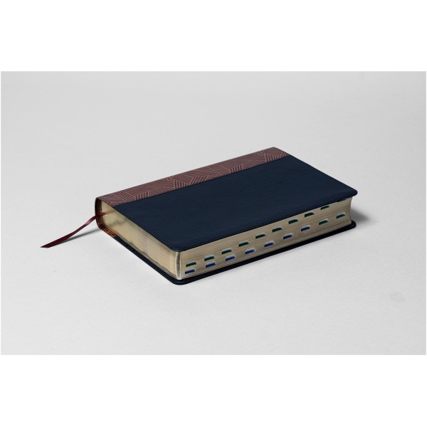Biblia RVR1960 Estudio Arcoiris Tostado/Negro Símil Piel índice 10pt - Image 3